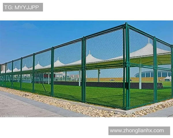 小区篮球场围网设计与建设的重要性及其对社区活动的积极影响分析